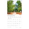 BrownTrout; Palmetto State | South Carolina Places | 2027 12 x 24 Inch (Hanging) Monthly Square Wall Calendar | Plastic-Free; Category:Wall Calendars; Image:5